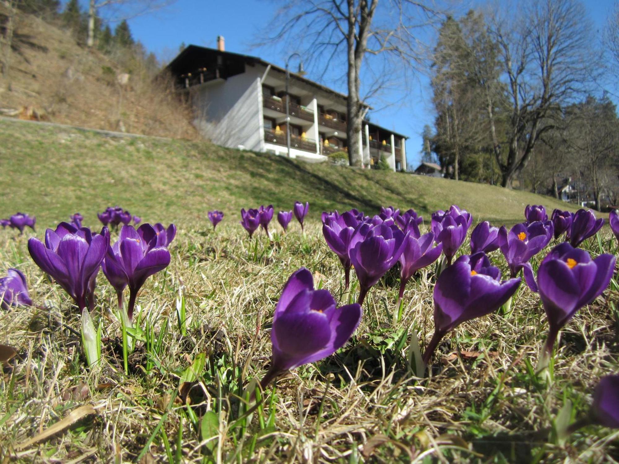 Hotel Ruchti - Zeit Fuer Mich Фюссен Экстерьер фото